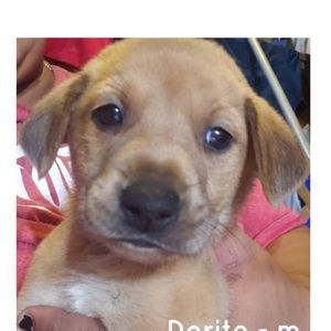 Meet your Posher, Erik